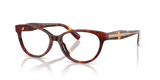 Walnut Tortoise / Demo Lens (5938)