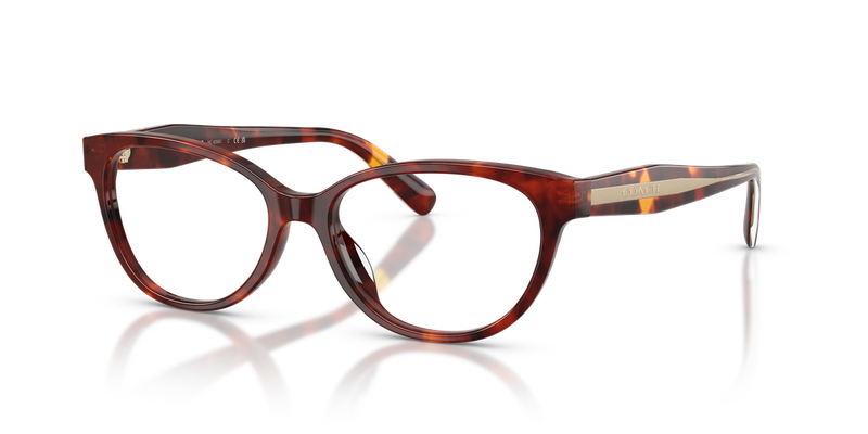 Coach HC6293U in Walnut Tortoise / Demo Lens (5938) - Alternate View