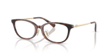 Dark Tortoise / Demo Lens (5120)