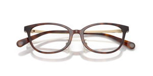 Dark Tortoise / Demo Lens (5120)