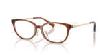 Transparent Brown / Demo Lens (5888)