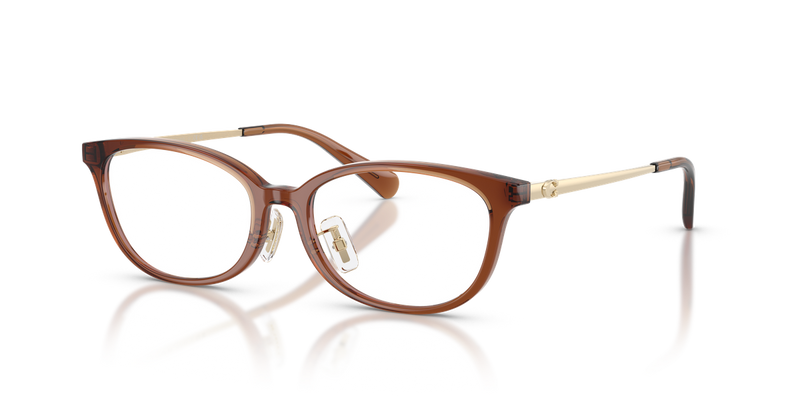 Coach HC6295D in Transparent Brown - Alternate View