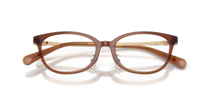 Transparent Brown / Demo Lens (5888)