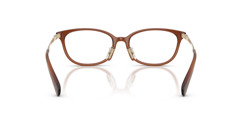 Coach HC6295D in Transparent Brown - Alternate View