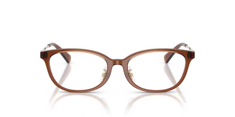 Coach HC6295D in Transparent Brown - Alternate View