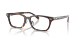 Dark Tortoise / Demo Lens (5120)