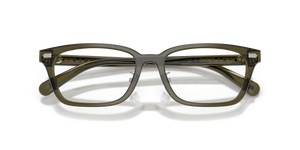 Transparent Olive / Demo Lens (5818)