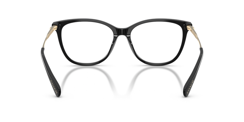 Coach HC6297D in Black / Demo Lens (5002) - Temple Detail