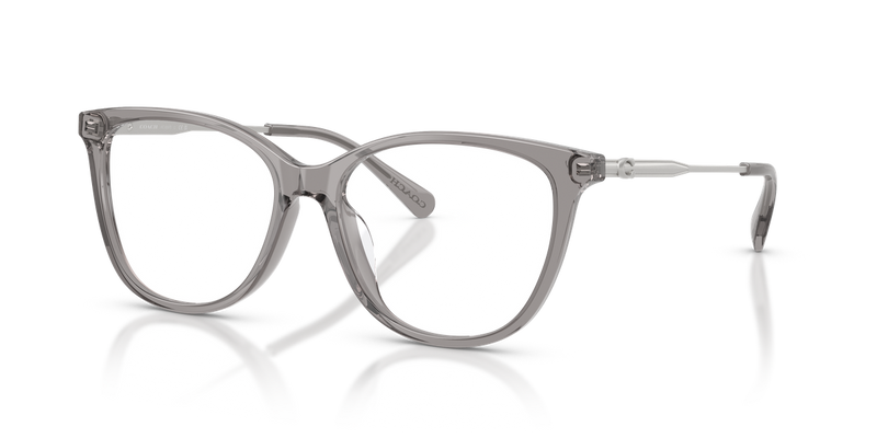 Coach HC6297D in Transparent Light Grey / Demo Lens (5886) - Alternate View