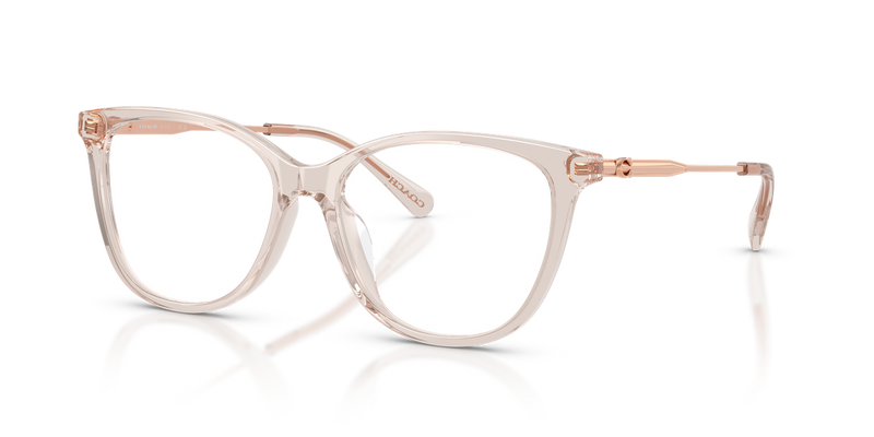 Coach HC6297D in Transparent Khaki / Demo Lens (5887) - Alternate View