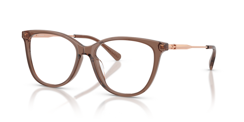 Coach HC6297D in Transparent Teal / Demo Lens (5947) - Alternate View