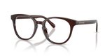 Milky Pecan / Demo Lens (5968)