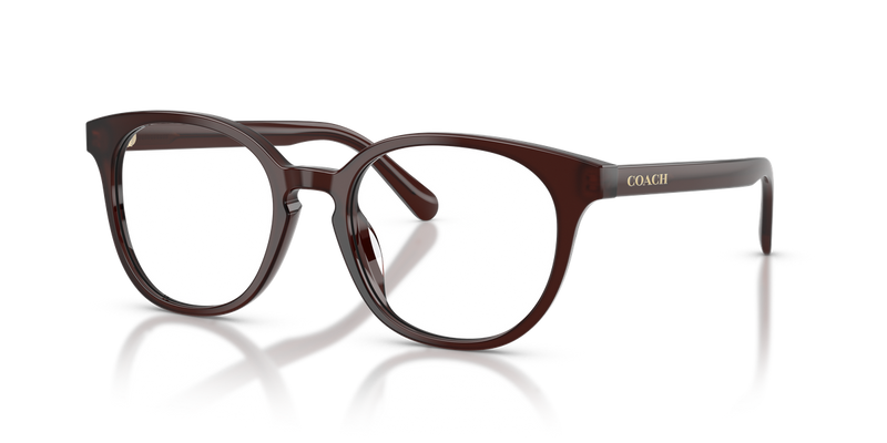 Coach HC6301F in Milky Pecan - Alternate View