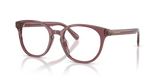 Transparent Purple / Demo Lens (5969)