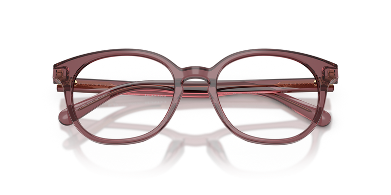 Coach HC6301F in Transparent Purple - Alternate View