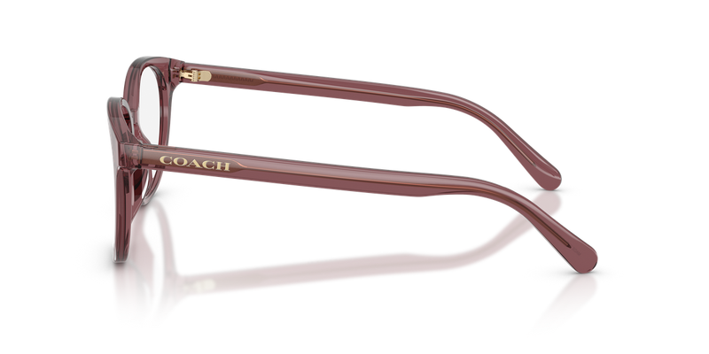Coach HC6301F in Transparent Purple - Alternate View