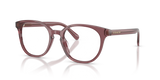 Transparent Purple / Demo Lens (5969)