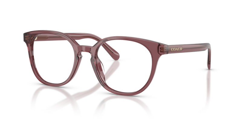 Coach HC6301U in Transparent Purple - Alternate View