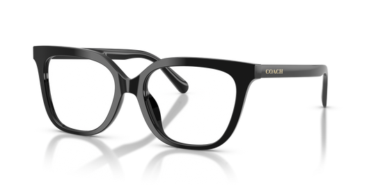 Coach HC6302U - Black / Demo Lens (5002)