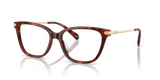 Walnut Tortoise / Demo Lens (5938)