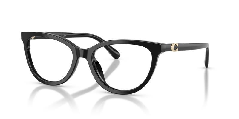 Coach HC6304U in Black - Alternate View