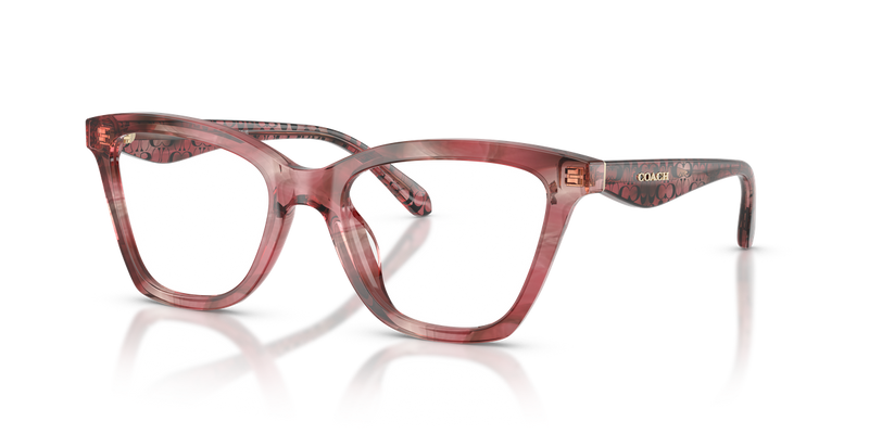 Coach HC6306U in Rose Watercolor - Alternate View