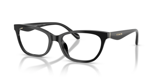 Coach HC6307U - Black / Demo Lens (5002)