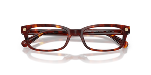 Walnut Tortoise / Demo Lens (5938)