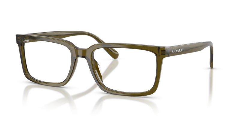 Coach HC6310U in Transparent Olive - Alternate View