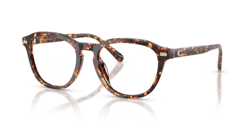 Tortoise Mustard / Demo Lens (5974)