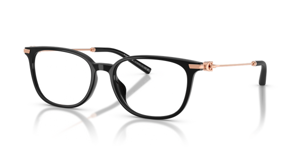 Coach HC6312D