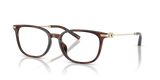 Dark Tortoise / Demo Lens (5120)