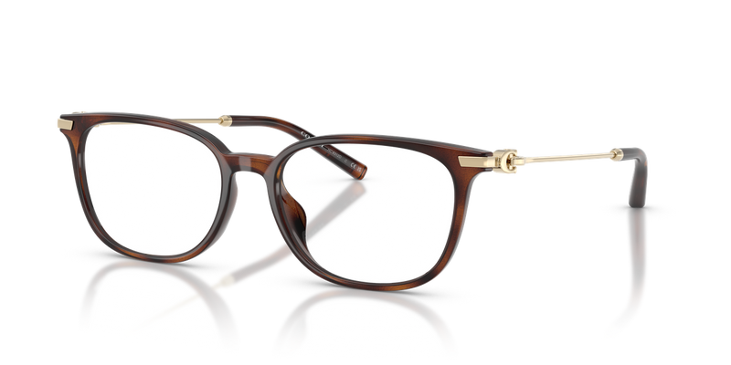 Coach HC6312D in Dark Tortoise - Alternate View