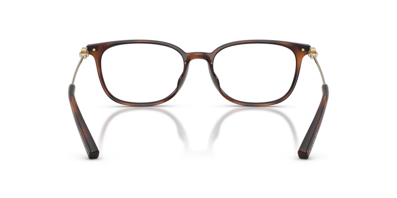 Coach HC6312D in Dark Tortoise - Alternate View