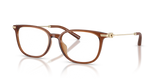 Transparent Brown / Demo Lens (5888)