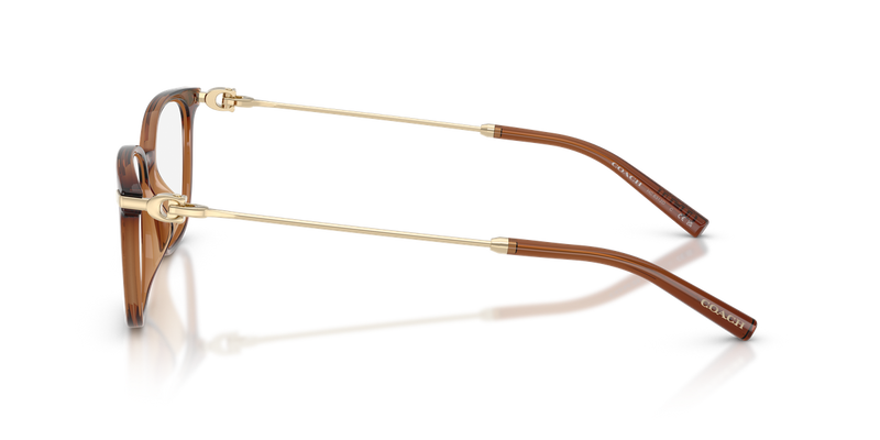 Coach HC6312D in Transparent Brown - Alternate View