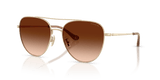 Shiny Light Gold / Brown Gradient (900574)