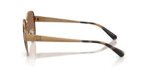 Brass / Brown Solid (948473)