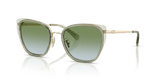 Gold/Sage / Green Blue Gradient (9486I7)