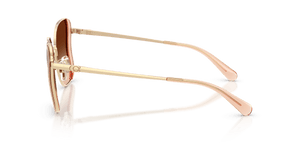 Champagne/Gold / Brown Gradient (900574)