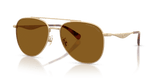 Satin Light Gold / Brown Solid Polarized (900583)