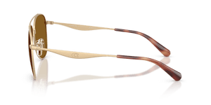 Satin Light Gold / Brown Solid Polarized (900583)