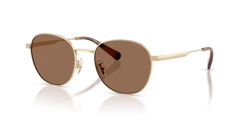 Shiny Light Gold / Brown Solid (900513)