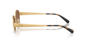 Shiny Gold / Dark Brown Solid (944113)
