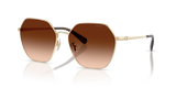 Shiny Light Gold / Brown Gradient (900574)