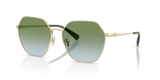 Shiny Light Gold / Green Gradient (9005I7)