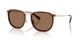 Satin Light Gold/Brown / Brown Solid (947473)