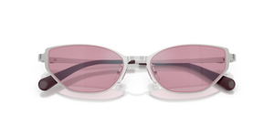 Shiny Silver / Rose Flash (900587)