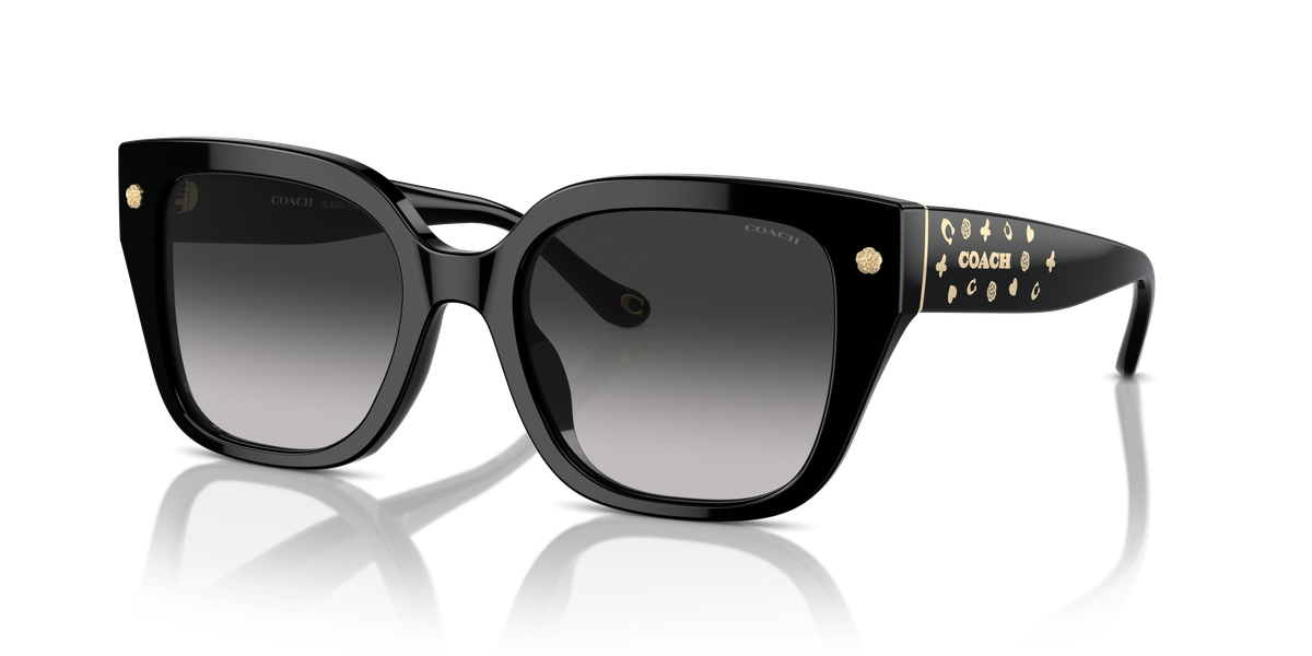 Coach CR611