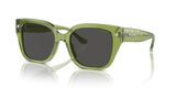 Transparent Key Lime / Grey Solid (581087)